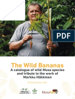 The Wild Bananas FINAL Lowres 2
