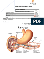 LMF 2 - Pancreas