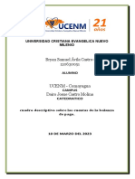 Bryan Samuel Ávila Castro-120630051: Universidad Cristiana Evangelica Nuevo Milenio