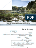 Pola Interaksi Dalam Ekosistem