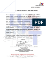Muñoz Manuela - Tsu Pasantias PDF