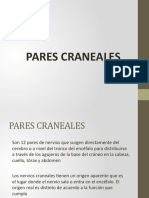 Pares Craneales