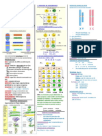 BIOLOGIA CLASE 9 Genetica