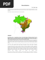 BIOMAS BRASILEIROS