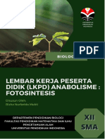 LKPD Anabolisme - Fotosintesis - 12sma