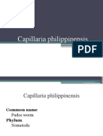 Capillaria 2019