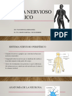 Sistema Nervioso Periférico Presentacion