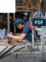 Brochure Promotion Des PME PDF