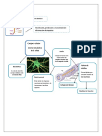 Esquemas Sistema Nervioso PDF