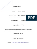 Internship Report BDP BA Psychology  