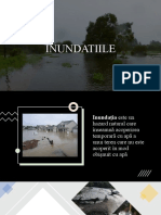 Inundatiile