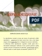 Riproduzione