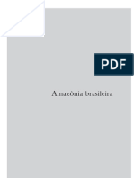 amazoniabrasileiraAZIZ
