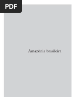 amazoniabrasileiraAZIZ