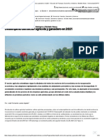 Desempeño Del Sector Agrícola y Ganadero en 2021 - Escuela de Finanzas, Economía y Gobierno - Bulletin News - Universidad EAFIT