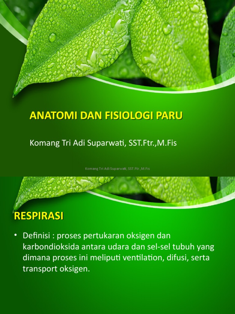 Anatomi dan Fisiologi Paru | PDF