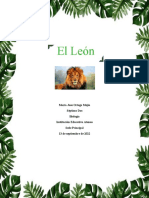 Investigacion Leon 2022