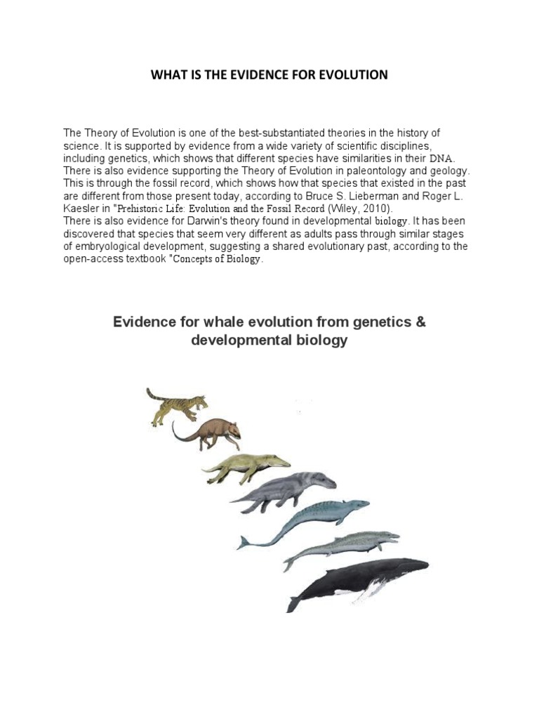 Evidence from Developmental Biology, and the Fossil Record Support the Theory of