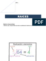 Raices 8 Vo