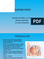 Anatomi Mata: Nanang Wiyono, DR, M.Kes Bagian Anatomi FK Uns Surakarta