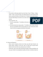 Bahan Belajar Plagio PDF