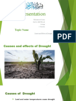 Causes and Effects of Drought Presentation