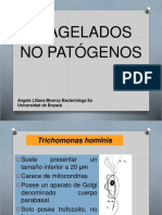 Flageladosnopatogenos PDF