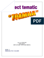 2_proiect_tematic_toamna bun.doc