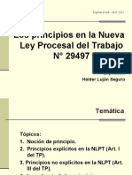 1 - Diapos - Los Principios Procesales en La NLPT