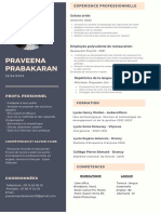 CV Praveena PDF