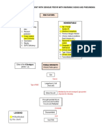 Schematic Diagram of Patient With Dengue Feevr With Warning Signs and Pneumonia