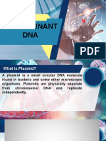 Q3. Week 1 - Recombinant Dna