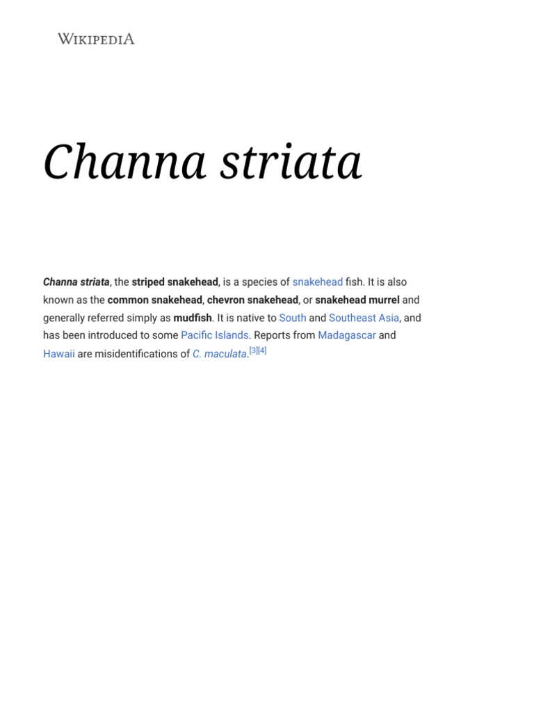 Channa Striata Wikipedia PDF Fish