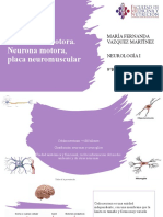 Evaluación Motora