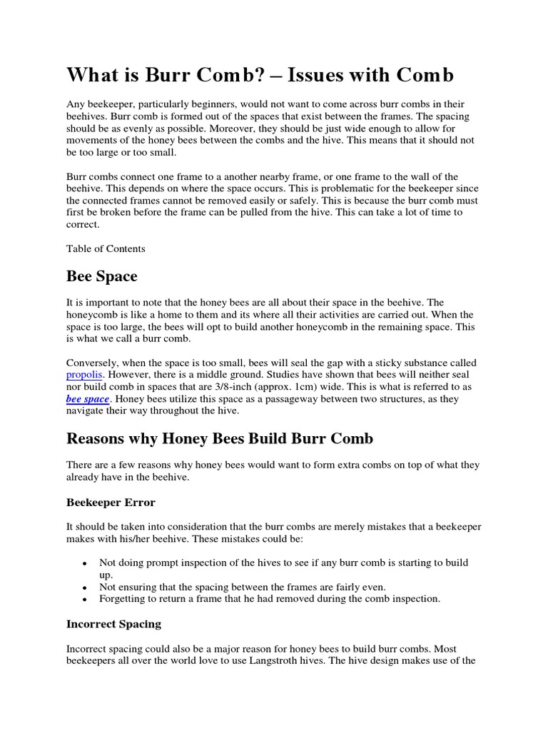 What Is Burr Comb? Issues With Comb Bee Space PDF Beehive