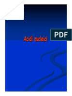 5 Acidi Nucleici