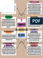 Mapa Conceptual Capítulo 7 PDF