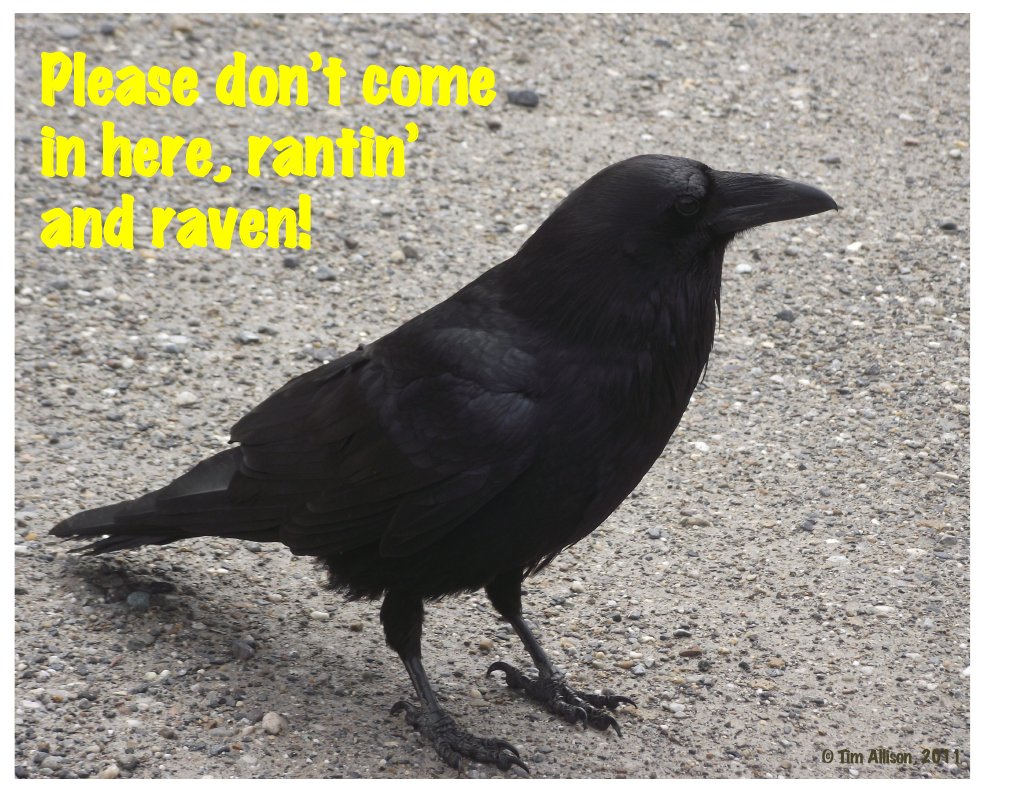 Ranting and Raving: A Cautionary Tale | PDF