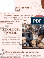 ACTIVIDAD - 3 - Ecología Integral Proyecto Del Curso, Aprender Haciendo y Sirviendo PDF
