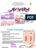 Tejiido Epitelial