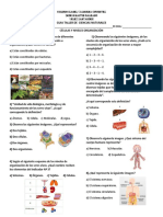 Guia Taller de Naturales