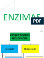 03 Enzimas