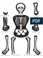 skeleton template