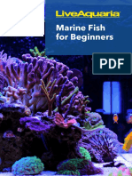 Marine Fish For Beginners Ebook