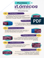 Puntos Anatomicos PT