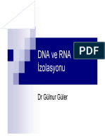 DNA, RNA Izolasyonu PDF
