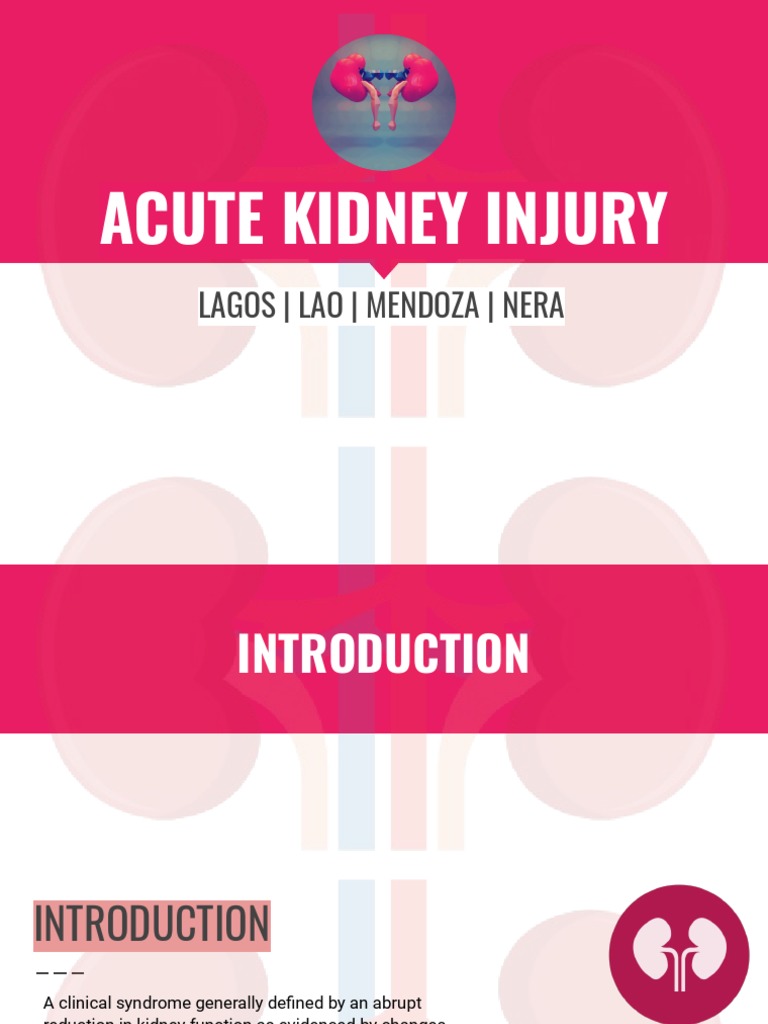 ACUTE KIDNEY INJURY GUIDELINES 2022 PDF visual data 5