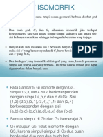 Graf-5 32285 0 PDF