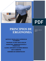 Principios de Ergonomia