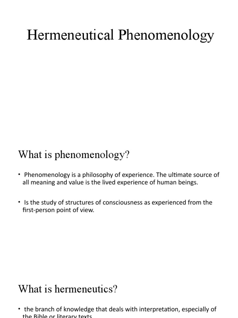 HERMENEUTIC PHENOMENOLOGY RESEARCH METHODOLOGY visual data 5